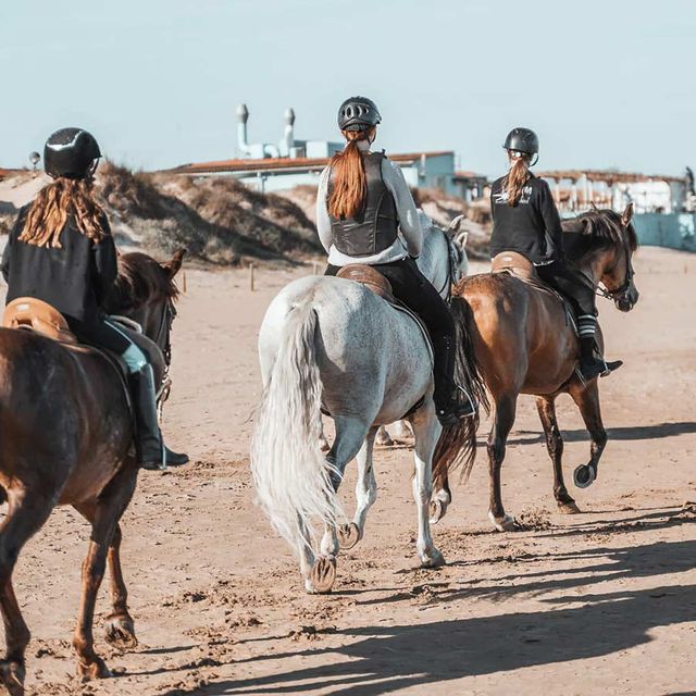 Centro Hípico Oliva Nova mujeres en caballo